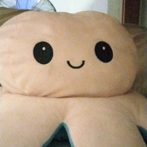 A plushie, the color is pink and red and black for the eyes and the mouth